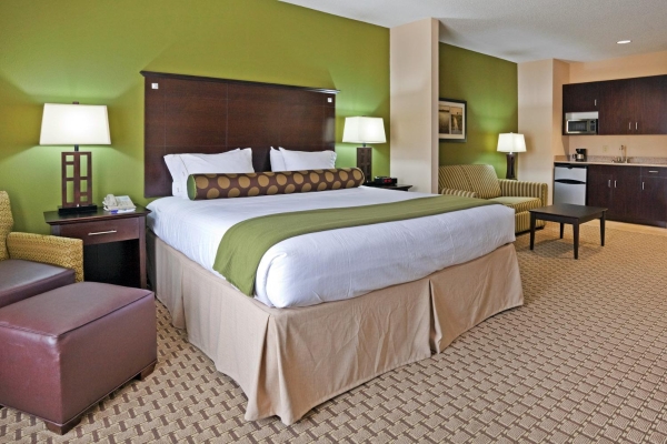 Holiday Inn Express & Suites OPELIKA AUBURN